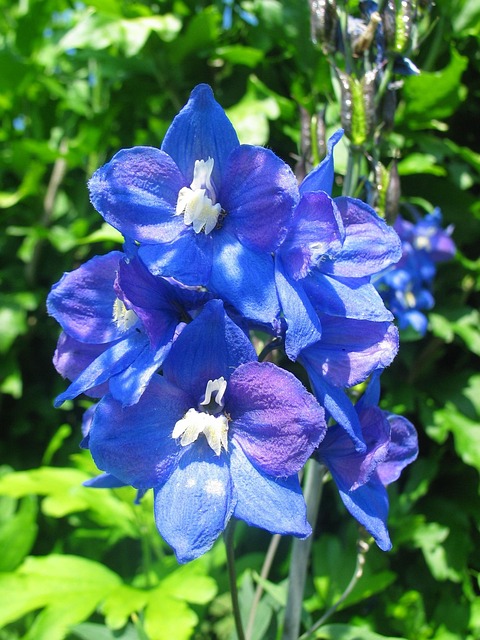 larkspur-kaiser-family-counselor-640x480-32476855.jpeg