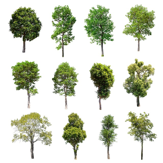 lone-tree-kaiser-permanente-child-psycho-640x480-43388415.jpeg