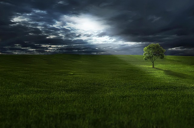 Lone Tree Kaiser Permanente Child Psychologist