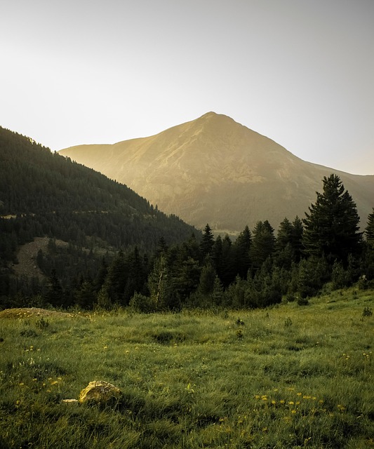 Mapleton Hill Kaiser Psychologist: Guide Your Mental Wellbeing Journey