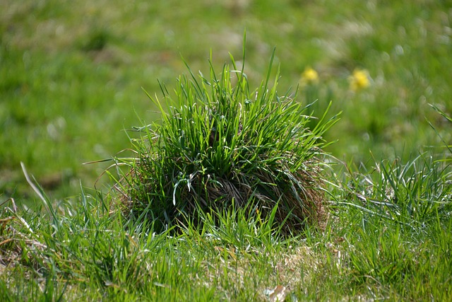 meadow-hills-kaiser-counselor-640x480-24278723.jpeg