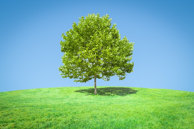 meadow-hills-kaiser-permanente-psychothe-640x480-30202681.jpeg