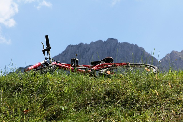 Unwind, Grow: Holistic Retreats with Niwot Kaiser Psychologist