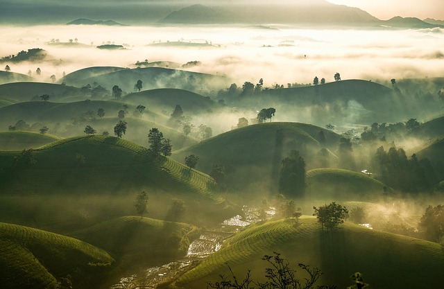 Book a Session: Find Your Path to Relationship Healing at Park Hill Kaiser Permanente