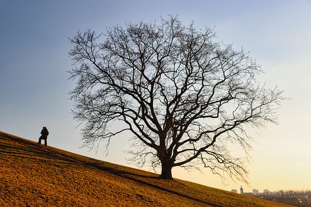 park-hill-kaiser-permanente-psychologist-640x480-39878735.jpeg