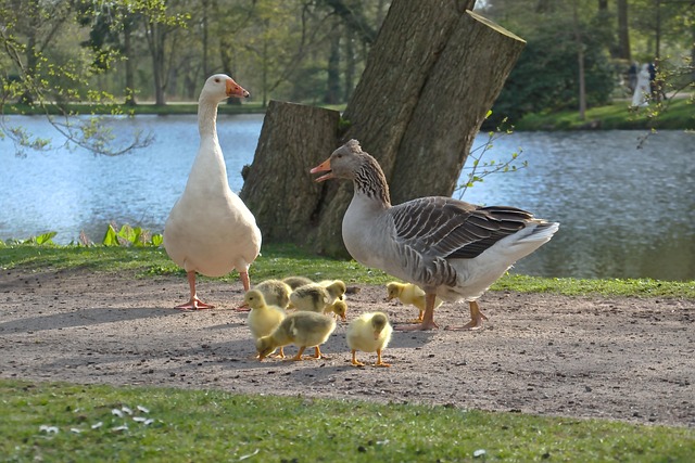 platt-park-kaiser-permanente-family-coun-640x480-91794642.jpeg