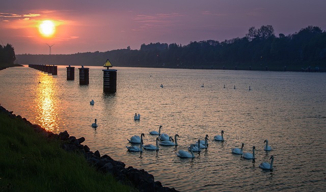Regis Kaiser Permanente Psychologists: Retreats for Mental Rejuvenation