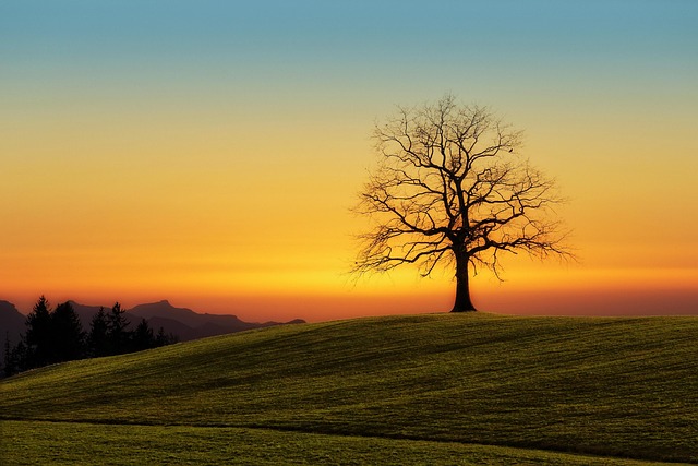 Hire Ruby Hill Kaiser Counselor: Achieve Success Through Coaching