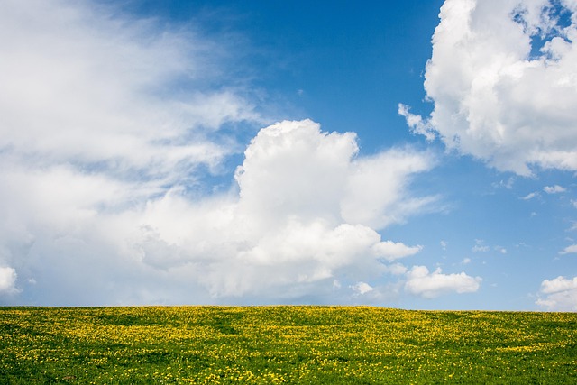 Unlock Your Potential: Ruby Hill Kaiser Psychotherapist Guidance