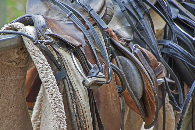 Resources for Stress Management: Saddle Rock Kaiser Permanente & Local Support