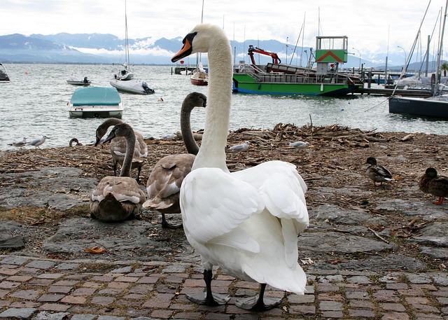 Thrive with Family Counselors at Sloan’s Lake Kaiser Permanente