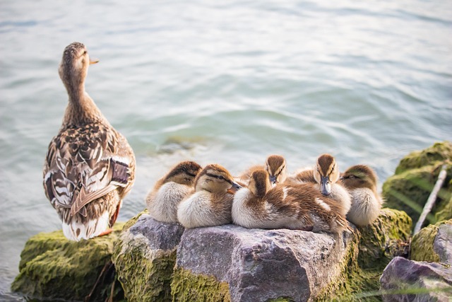 Discover Personal Growth with Twin Lakes Kaiser Family Counselors