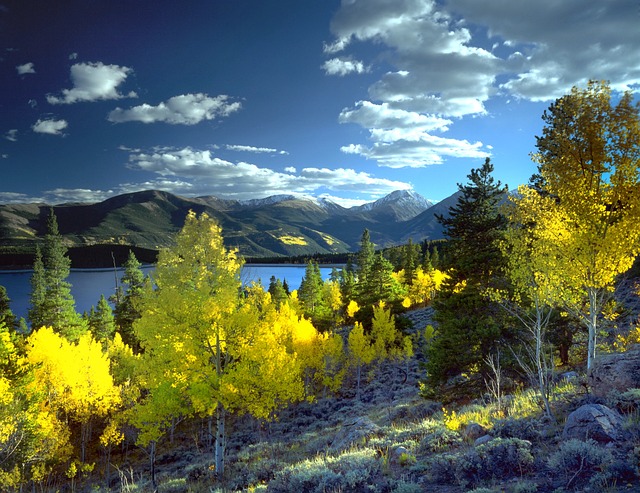 Twin Lakes Kaiser Psychotherapist: Comprehensive Counseling Packages Explained