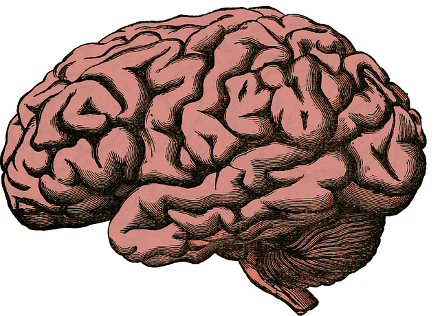 Discover Holistic Mental Wellness Programs Near You