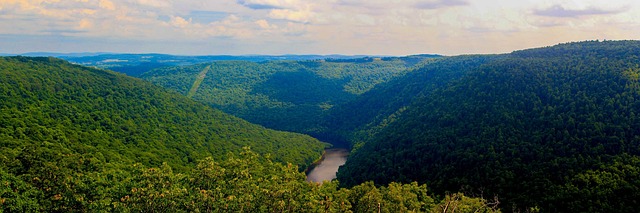 Boost Wellness: Gifts, Counselors, Benefits in Washington & Virginia