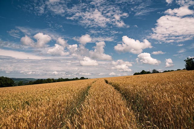 Find Support for Depression at Wheat Ridge Kaiser Permanente