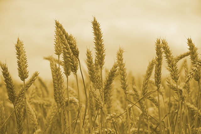 wheat-ridge-kaiser-permanente-family-cou-640x480-13427325.jpeg