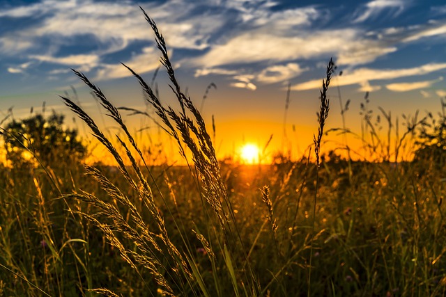 Book-Intensive Outpatient Recovery: Kaiser Permanente’s Wheat Ridge Approach